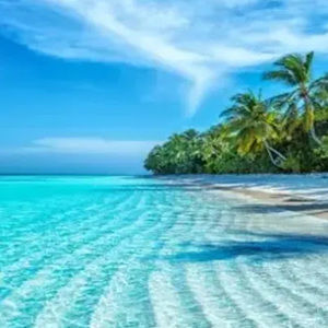 Meet your Posher, Peyton